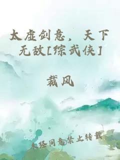 太虚剑意，天下无敌[综武侠]