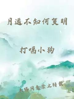 月遥不知何复明