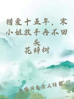 错爱十五年,宋小姐放手再不回头
