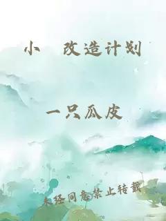 小茓改造计划